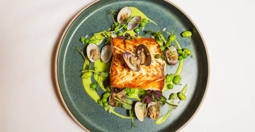 Halibut with clams and pea veloute