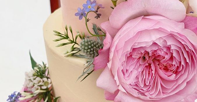 Wedding Cakes, Moo Moo Cakes