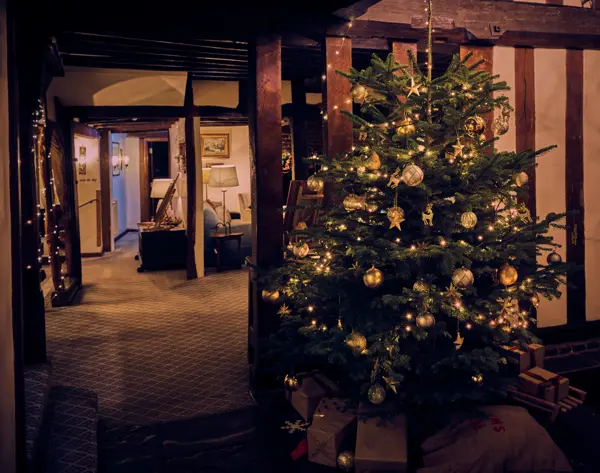 Christmas tree in entryway