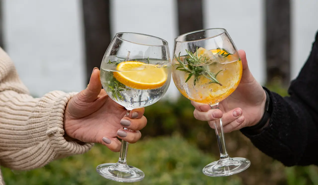 Toasting with Gin and Tonics