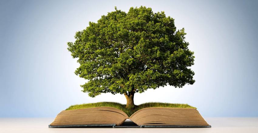 Book or tree of knowledge