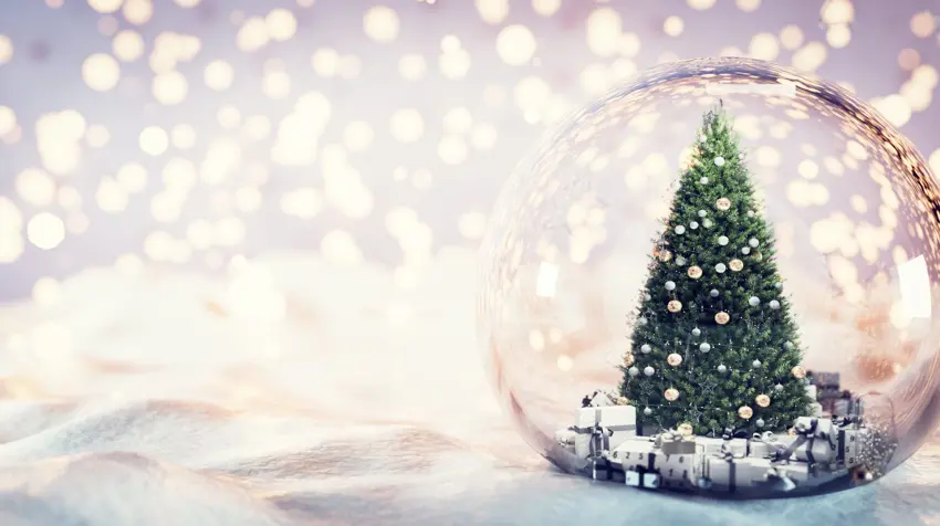 The Festive Spirit