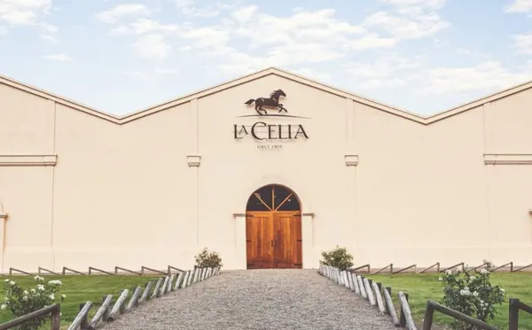 La Celia Wine Tasting Dinner