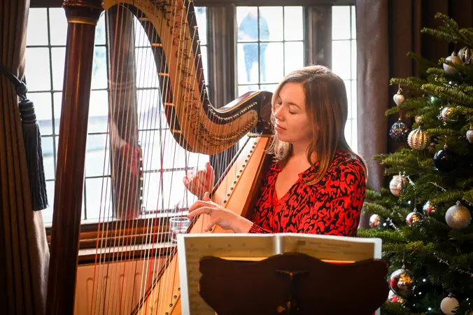 Harpist playing the harp
